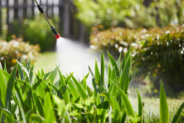 Tamper-Resistant Bait Stations for Rodents in Basye