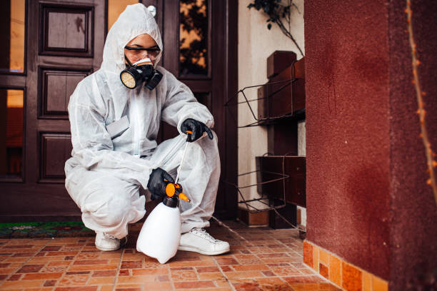 Attic and Crawl Space Rodent Treatment in Basye
