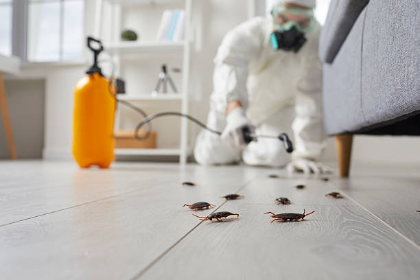 Commercial Rodent Management in Basye